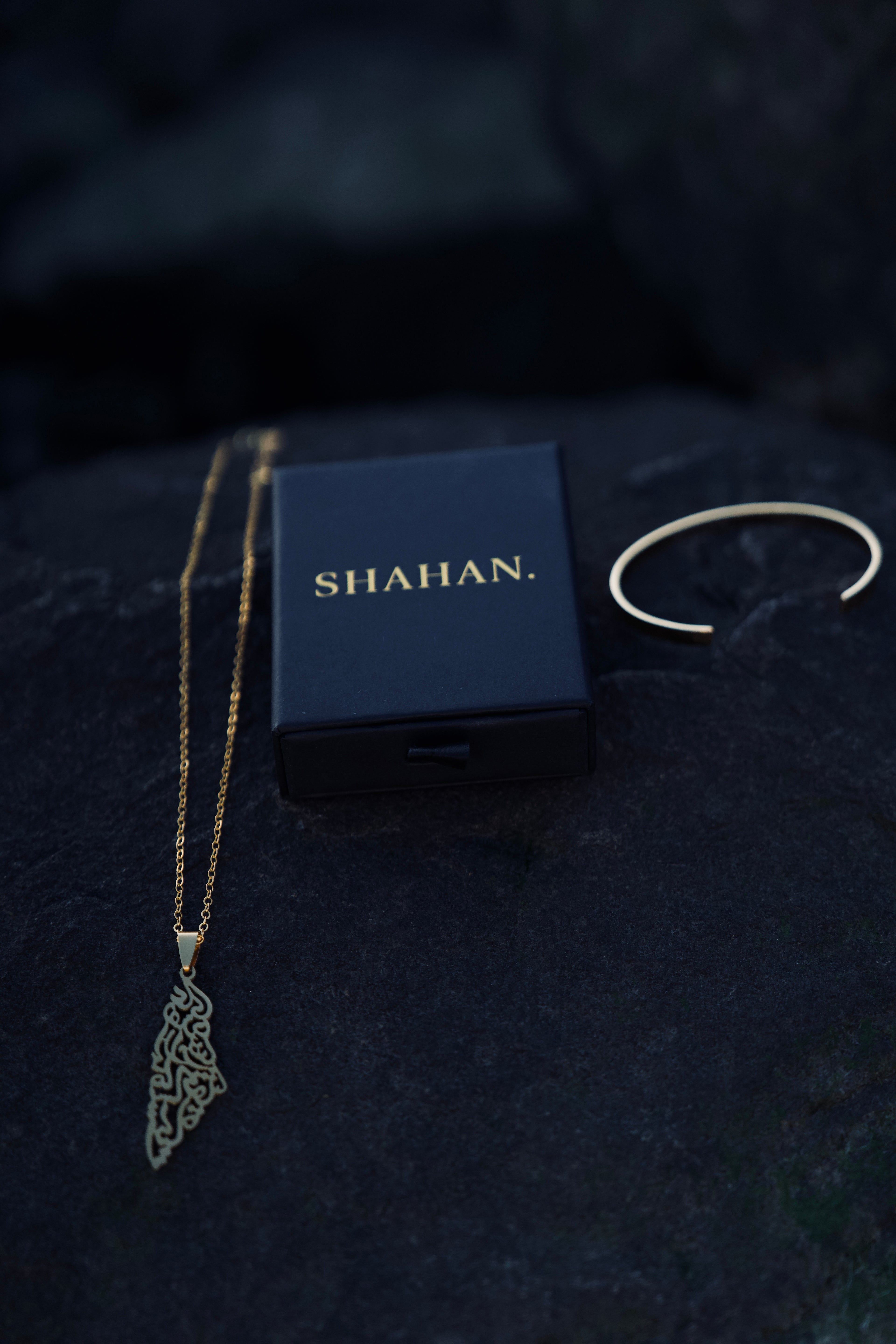 Palestine Map Pendant Necklace